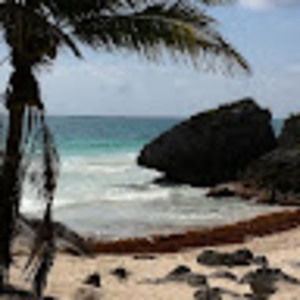 Meet your Posher, Angie